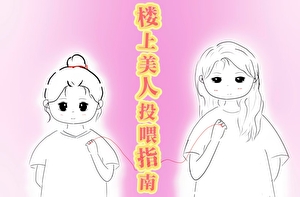 楼上美人投喂指南