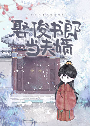 娶个俊书郎当夫婿