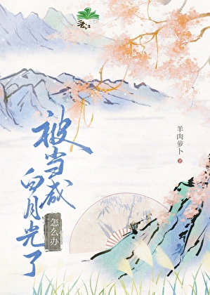 拐个太傅来压寨