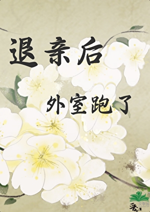 退亲后外室跑了