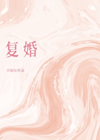 二婚小说